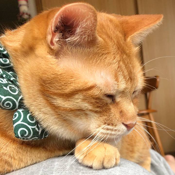 Bbd2d7f9 c13f 47a0 8a4c 6bdc440551fb 1559946258967