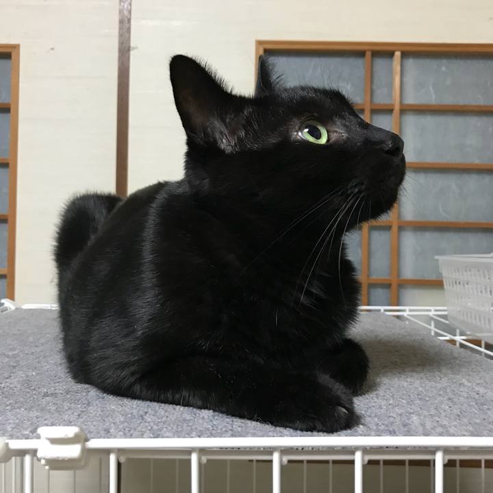 Bbd2da28 3f1d 4694 a93e b4d1df4c4cb5 1536283035871