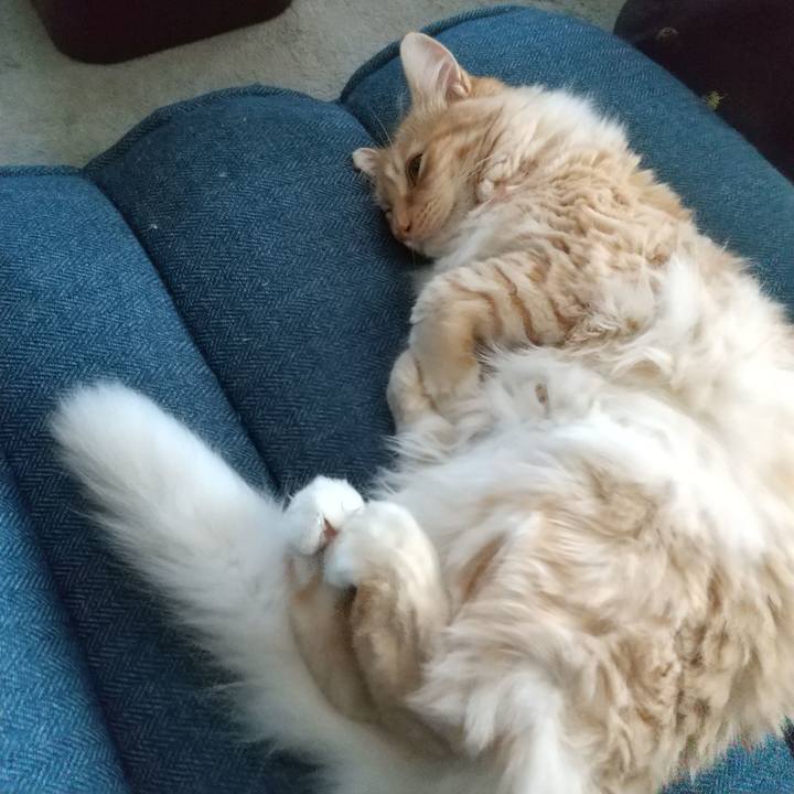 Bbd2e75e feb5 4a89 9a44 1934183dc03b 1626673940547