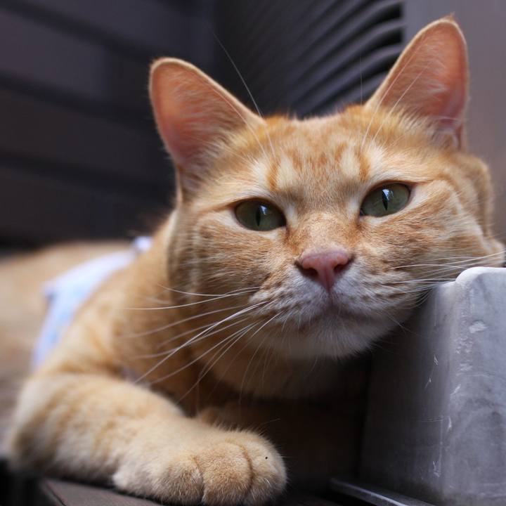 Bbd34029 e19b 4f1a bb43 890f19761f46 1742861133594