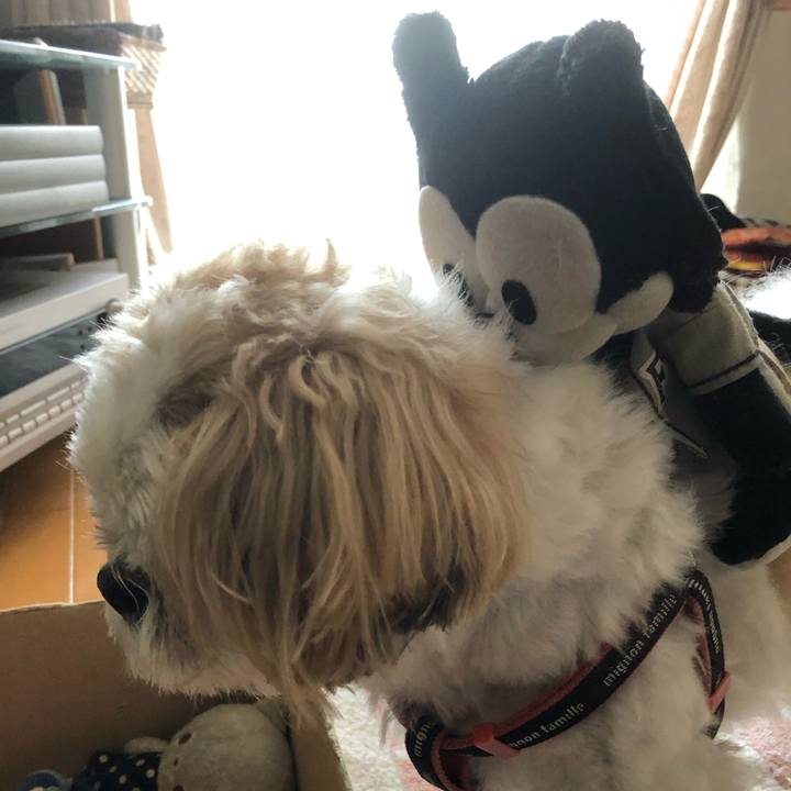 Bbd347d1 b875 47a9 9f8d 28964c38ded9 1628200666734