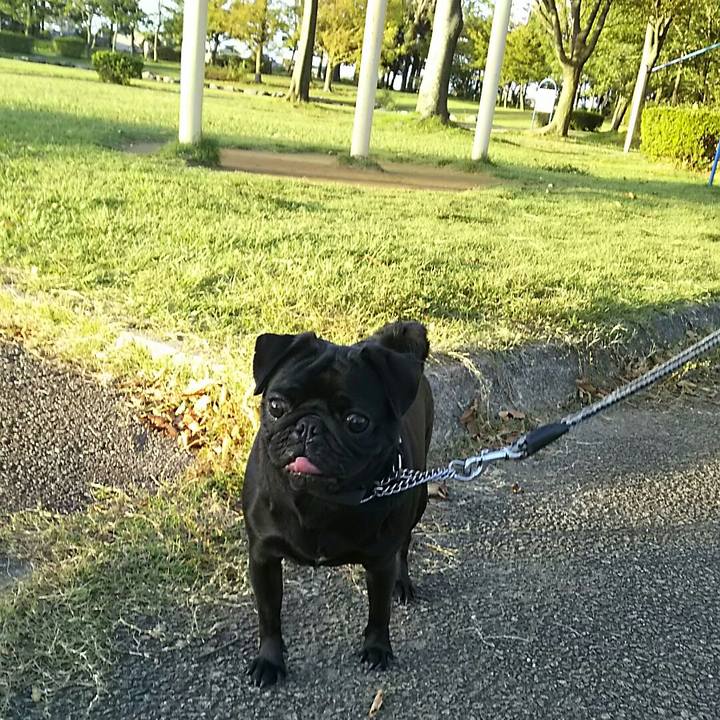 Bbd37aff 3f2b 4784 9e10 b33e6574f197 1538898341903