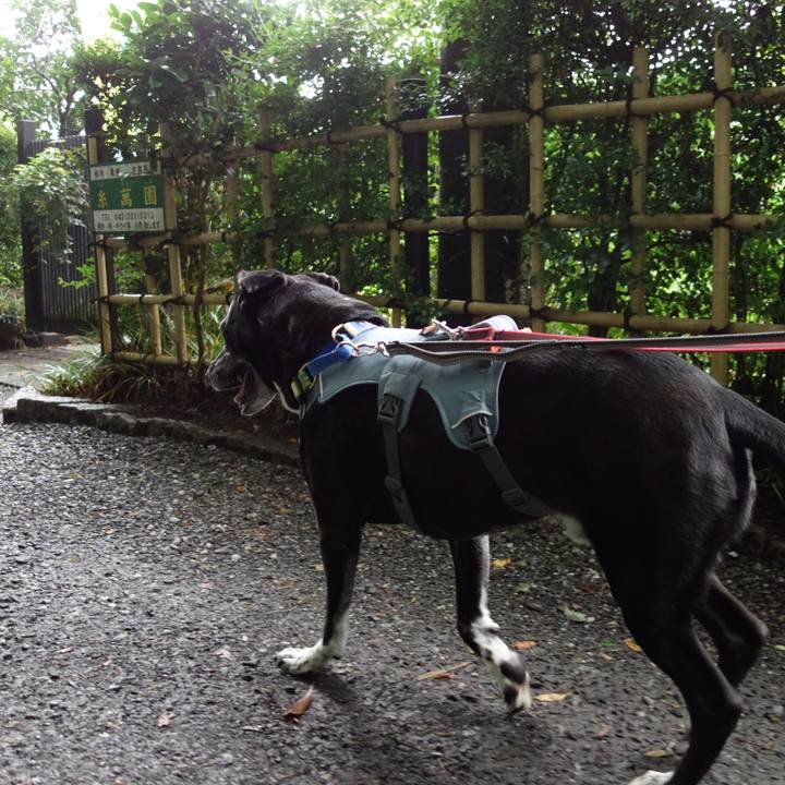 Bbd3ff8c 8f5e 44a3 9acc 7efa876d4fc4 1719621348831