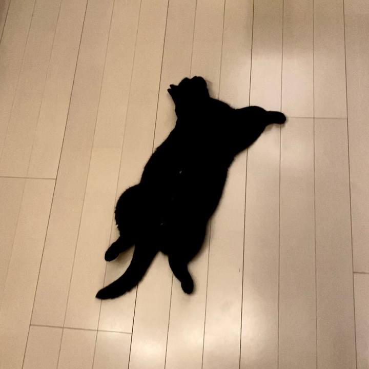 Bbd4487b 6729 4e5f 9a50 fa3c77bb60a4 1664456083332