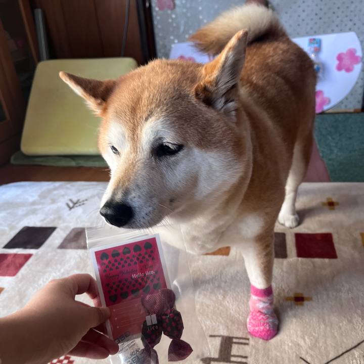 Bbd44c78 cca7 43f1 bfbe c8d7129c58dc 1709522770265