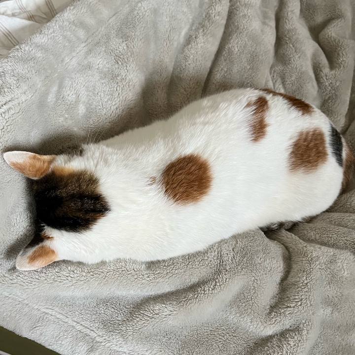 Bbd464ff 9e54 4cec b137 40a0a125cd0d 1650035226939