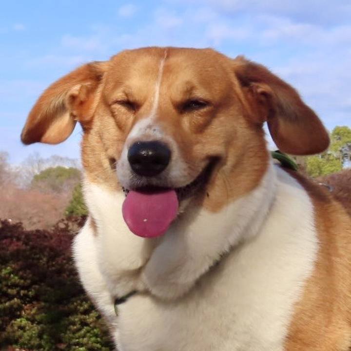 Bbd4852e b10e 42f9 a26d 03d5ec251320 1710899083785