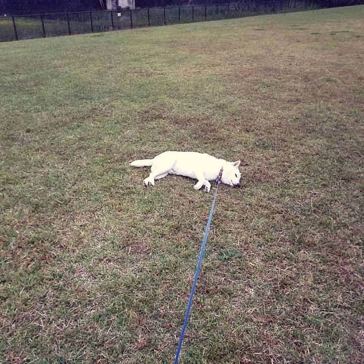 Bbd4e8b6 f7f0 4c63 b4af c254b7b4ac9d 1508250857811