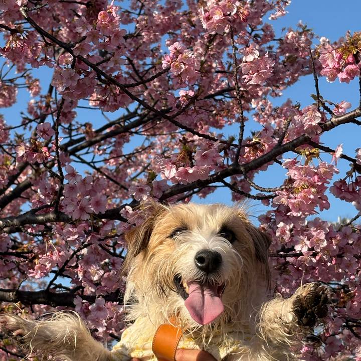 Bbd5023d 972b 4434 865f dbb488179c0f 1771805649274