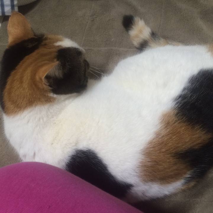 Bbd52129 baaa 4c81 9ca8 08d3c87a1f19 1518099788305