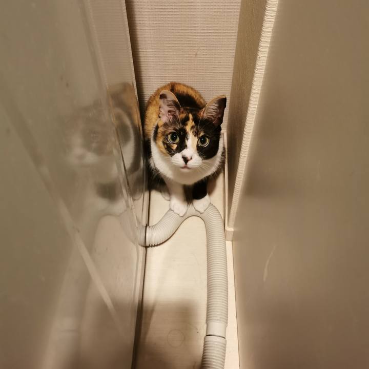 Bbd54f78 6c67 4bb9 9399 cfc4298478b2 1629705304754