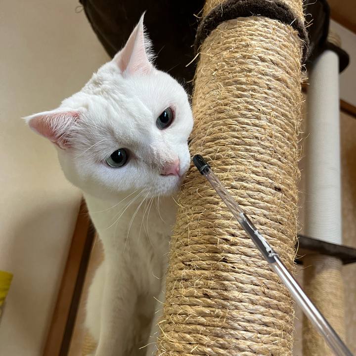 Bbd579e6 1ece 4901 9dcd c030da9681b3 1663469297370