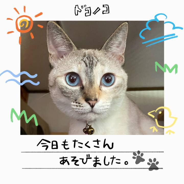 Bbd5802d bfdd 4f83 9292 d8f9357952ad 1755128459634