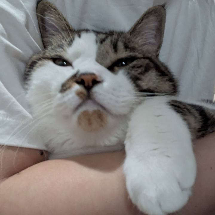 Bbd5a82f c81e 4788 8869 35a6165bd62e 1752961879456