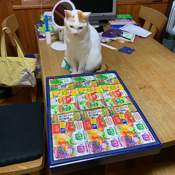 Bbd5da0b c94c 4e11 93ac 2256fc24e2f3 1629718053257