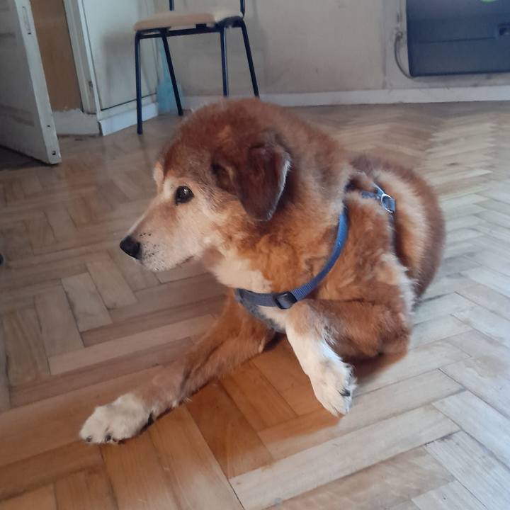 Bbd5f0ef 7377 4c64 9c52 469d6611c543 1761063148804