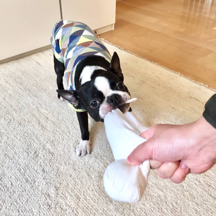 Bbd615f0 8073 4605 b623 abfc2bd17b6e 1523262944304