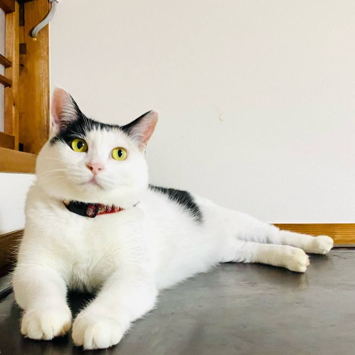 Bbd65e63 cfcf 4de0 850b ad08040f702b 1693142208925