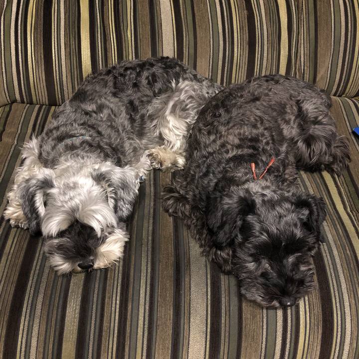 Bbd6615a 6ab7 4731 bdb9 dc4d362e9007 1573050868441