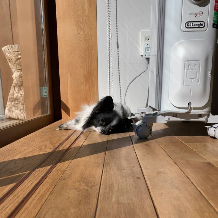 Bbd66762 511b 4aa1 a48b 3def50101601 1551490567151