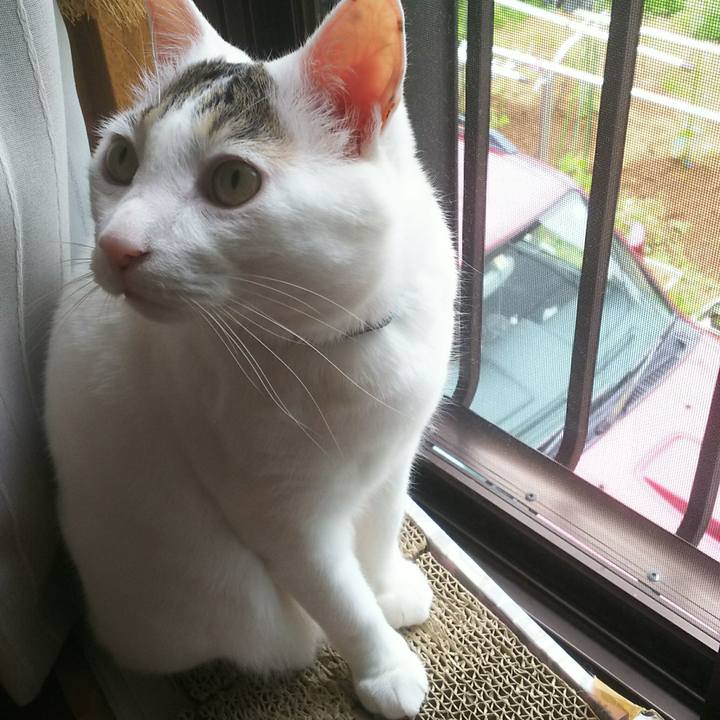 Bbd6ac5d 2d5c 4b5c 9abc 0e125c74282c 1527504733250