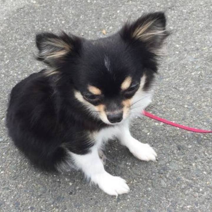 Bbd6f37a b355 46f9 bd34 fabecf8a594f 1758854964231