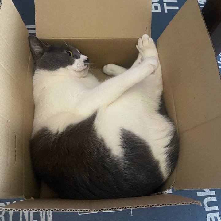 Bbd7297a d3f0 437e bb9d 0ea57d8b5d74 1714271520018