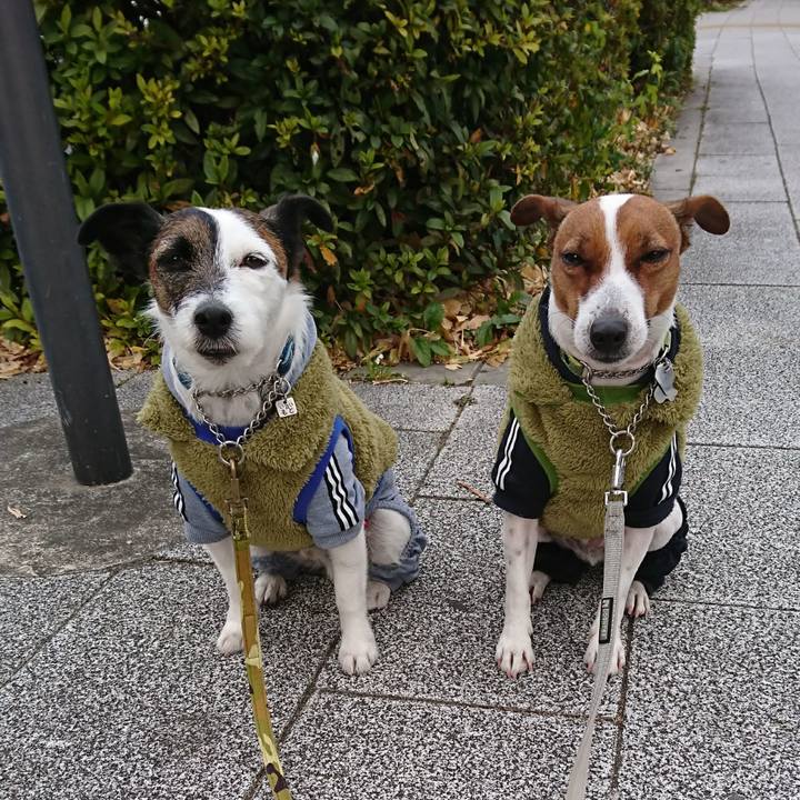 Bbd78b78 861d 483c 84f7 52d81b6b518d 1610926740062