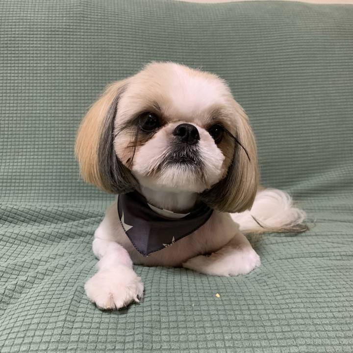 Bbd7954d cc7b 47ef 8fa0 f5b9529c38e2 1630922948422