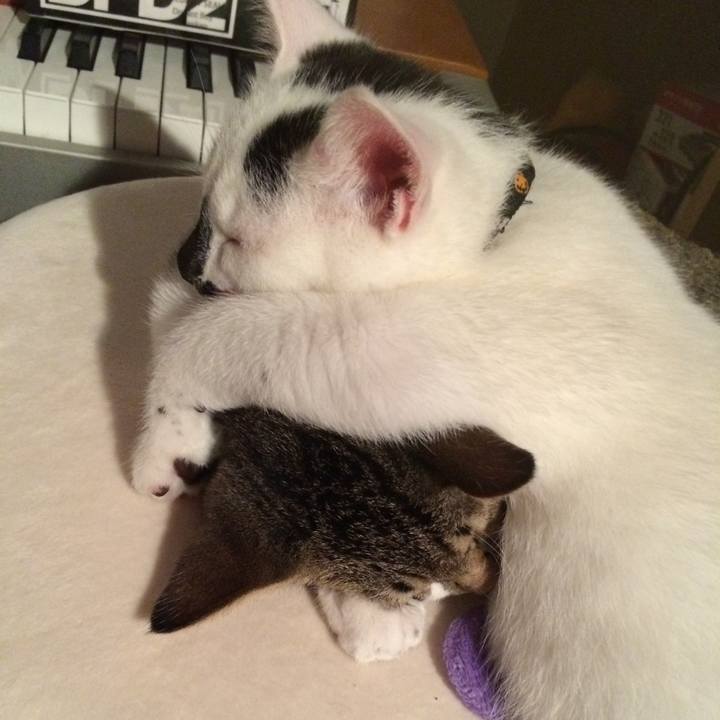 Bbd798bb 6ad6 44b9 9dc1 3097dc5a6456 1768049867235