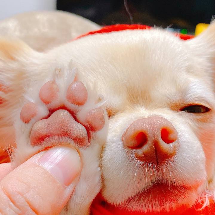 Bbd801fc c5a1 4f41 a57f 6d34c11eda7e 1644378240557