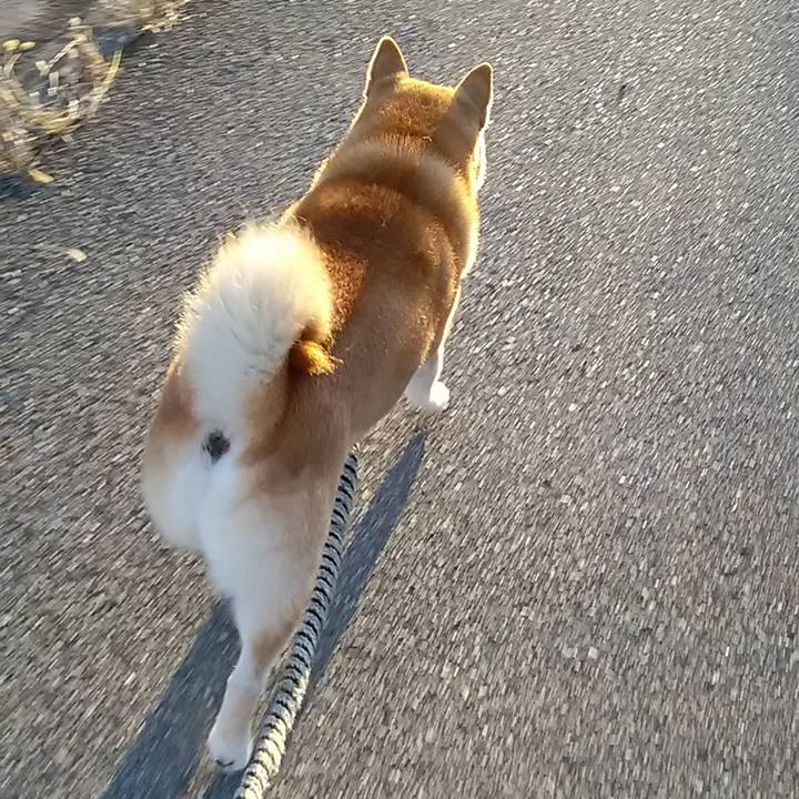 Bbd81ccf d998 422f 8b11 d3ccd83a1f62 1666826167056