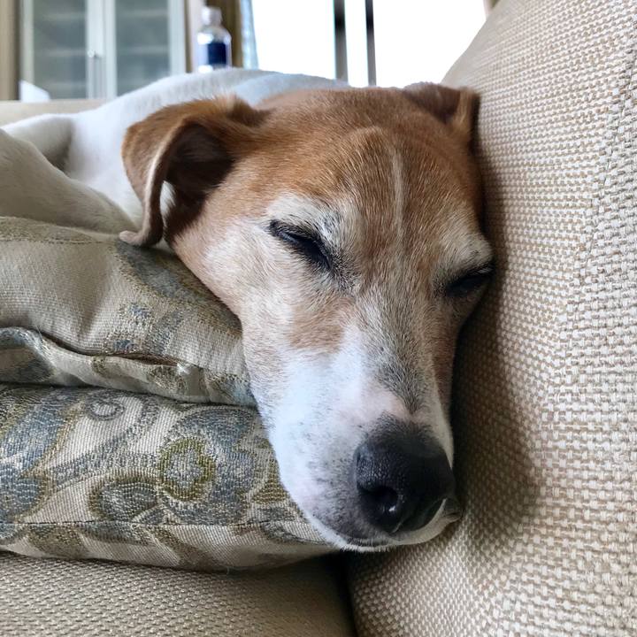 Bbd8249d b079 47d1 86bc 676ef2c285af 1561446979780