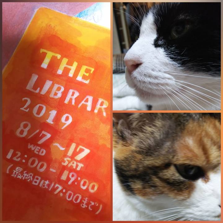 Bbd83c5c 3488 48a5 869f 9eb82c8ffc72 1565439912456