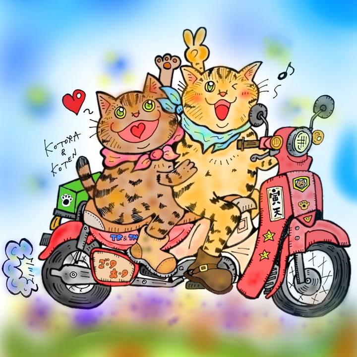 Bbd85450 9064 4bec 83ff d90aaf2a61cc 1575903086180