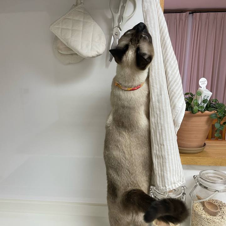 Bbd85909 0e76 459a 9cd8 a4f6b7f5d7ab 1725911954528