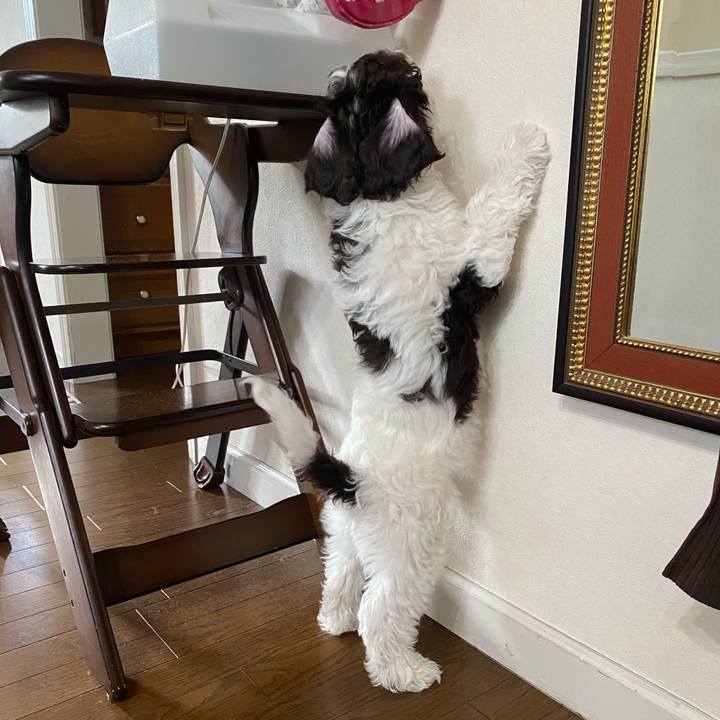 Bbd89cba 93ed 4739 8f17 8789daa19ce6 1608596210979