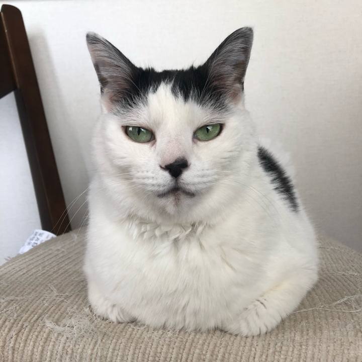 Bbd89ce0 85cc 4145 a2e9 2faef2b68cf3 1587475018151