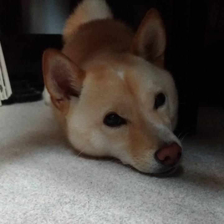 Bbd8a56e b696 4921 8aa0 c9405fdb1dc6 1533038266870