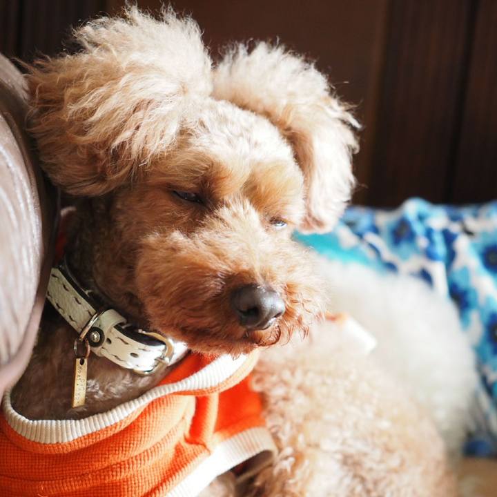 Bbd8b9ba 6077 4658 9c76 0acb6c0759d8 1511217840905