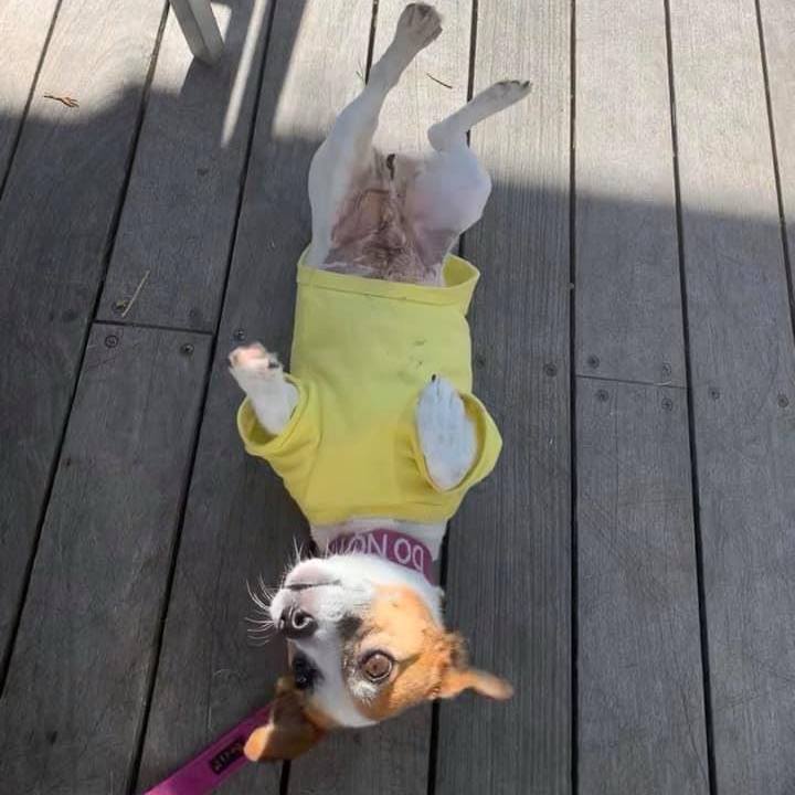 Bbd8cafc 327d 40cc 82ab ec3574fcd1a5 1728781803986