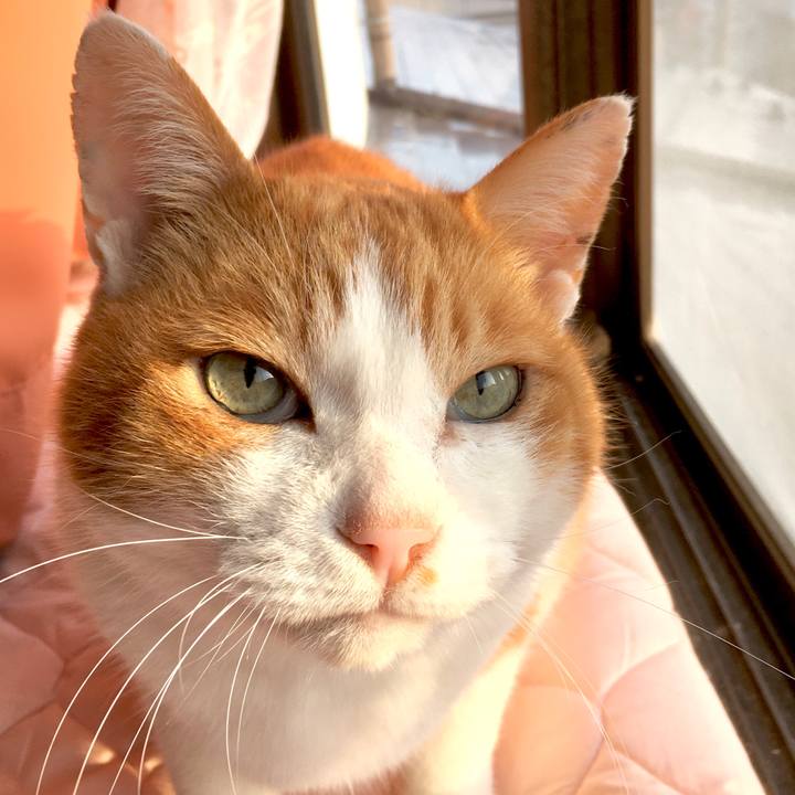 Bbd936ad 6000 4610 8bdd a794317f8dc9 1579231090335