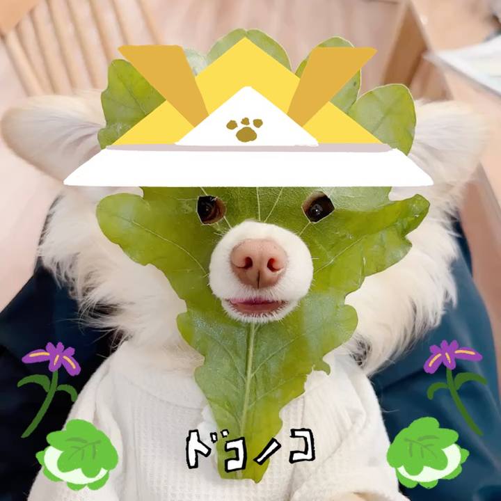 Bbd967ab 8f2e 4d0b b925 8d36dfedbb0c 1714877361394