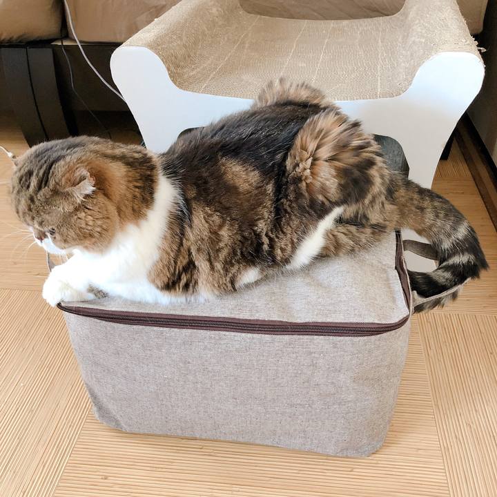 Bbd96b14 b0ee 4d30 a01c c95df80e72bb 1558848846913