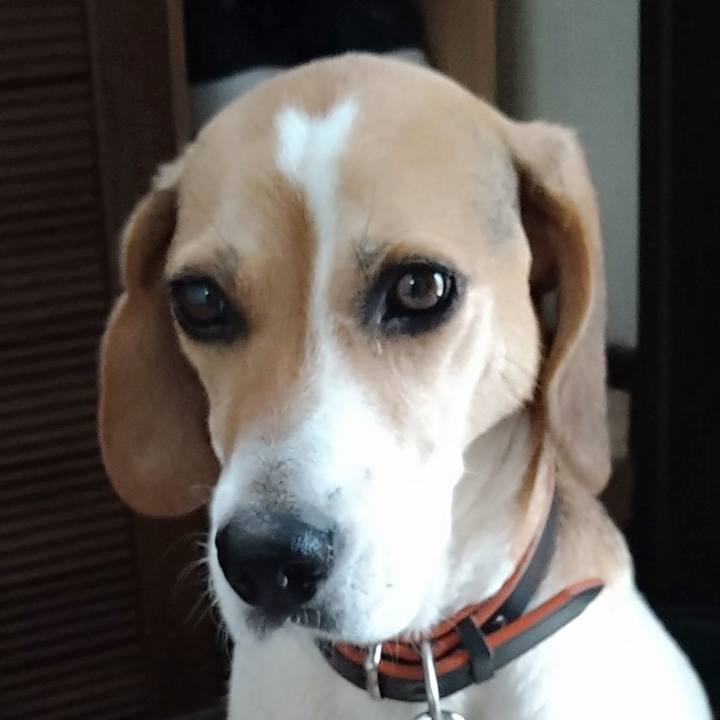 Bbd99abe 7370 4cae aec2 65e6c7863028 1629978504397