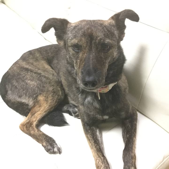 Bbd9ab04 e0b2 4ef8 be76 9817bcdde534 1563450452478