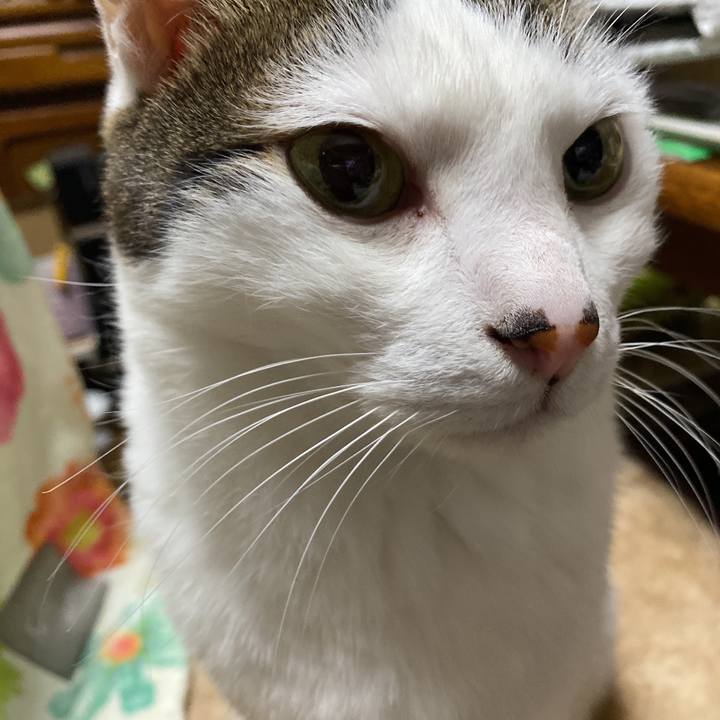 Bbd9e767 9ae5 472d 94e1 a53e09ff5a6d 1646147669968