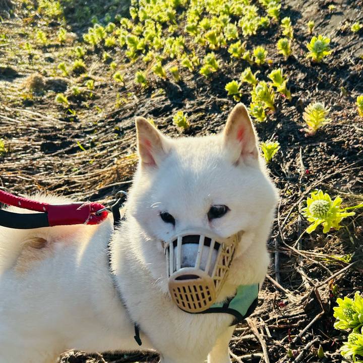 Bbda19bd 9952 4e7a b8cf 250d867d4f7b 1745788764344