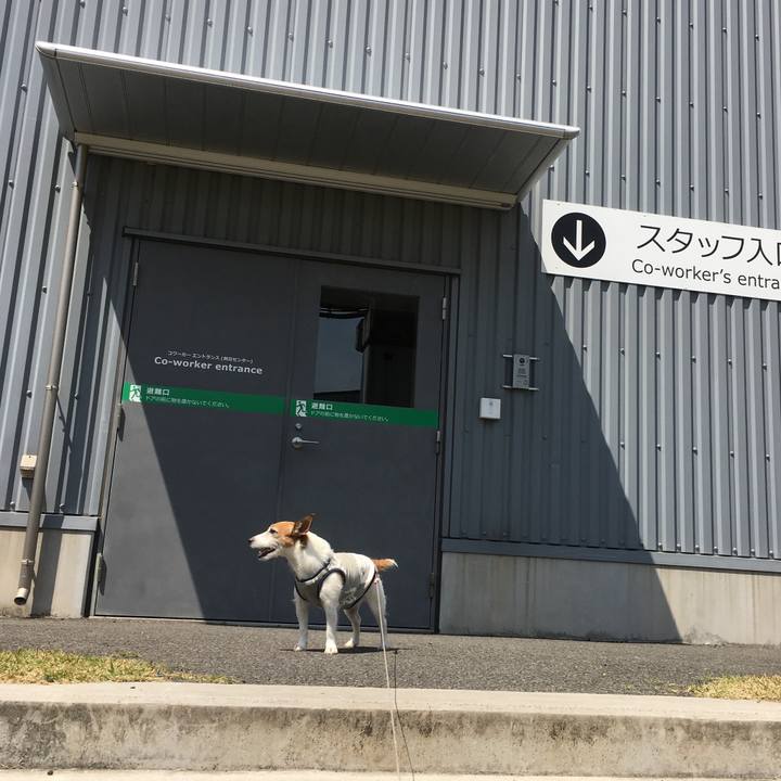 Bbda48c2 6c84 4436 83e7 add049c70c03 1588120655334