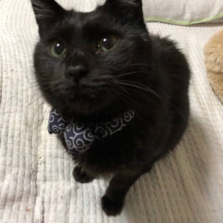 Bbdaaa2b d6ec 4a47 ab7a f4fe71413784 1586427996670